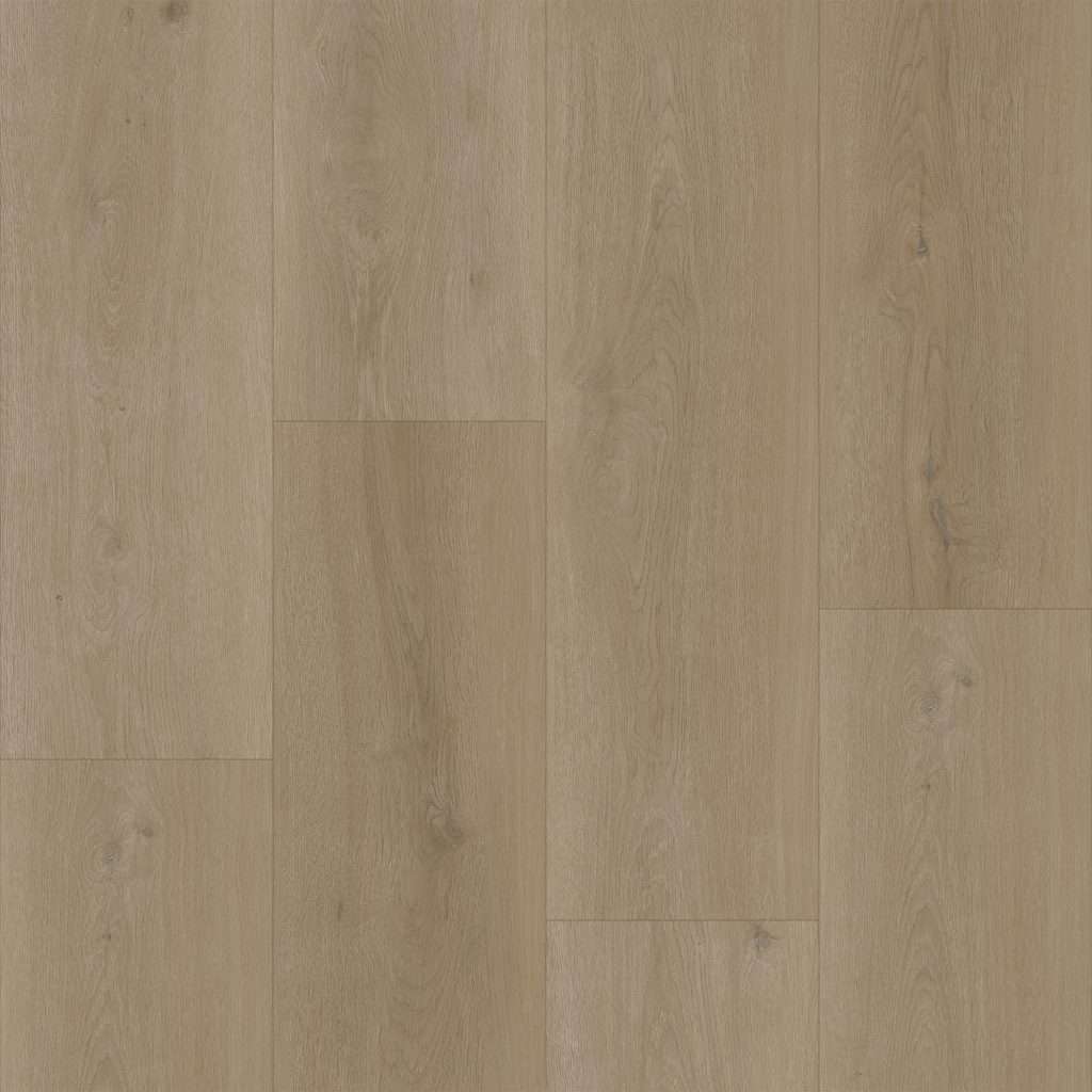 Bodiax BP300 Longa Dry-Back 330 Legian