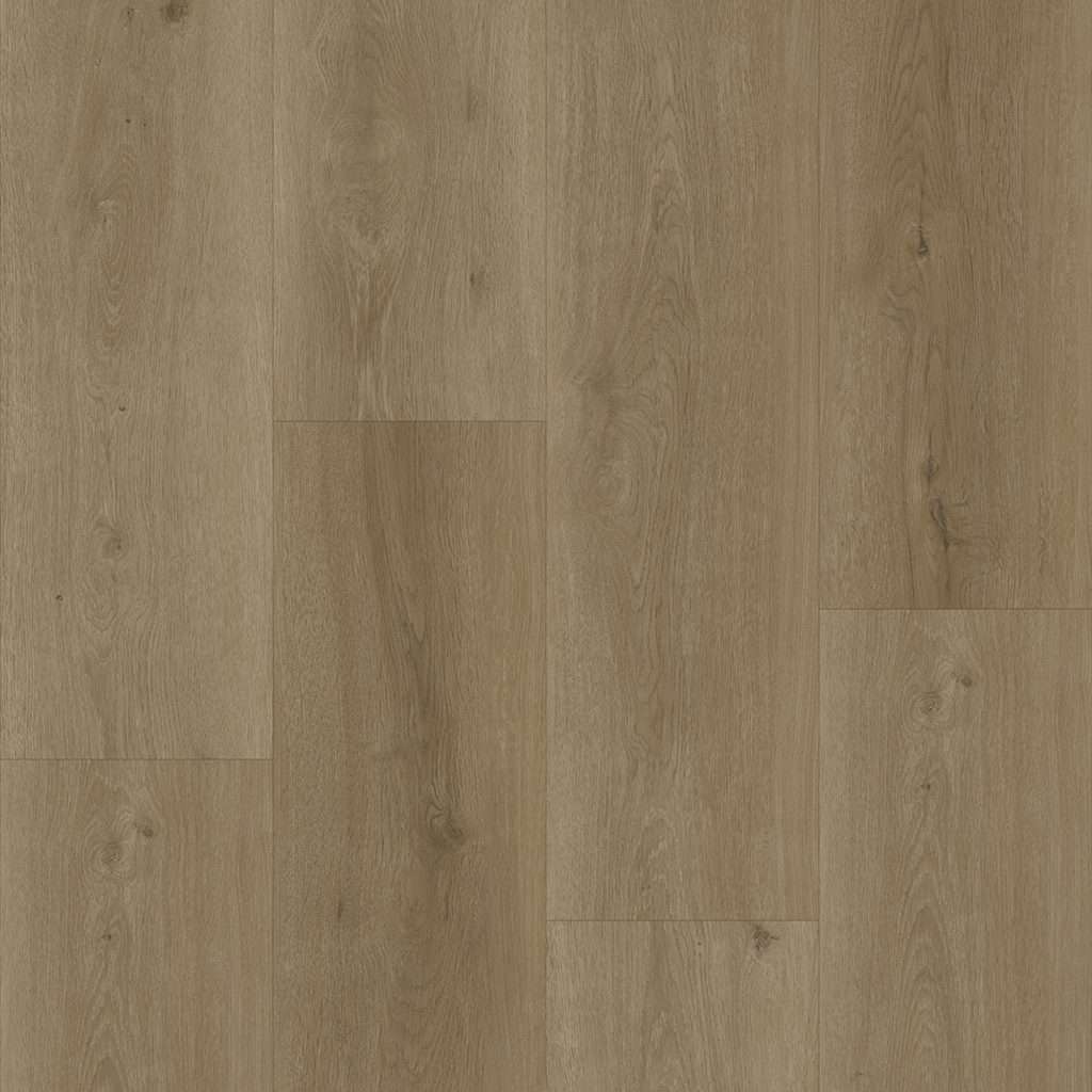 Bodiax BP300 Longa Dry-Back 333 Selenite