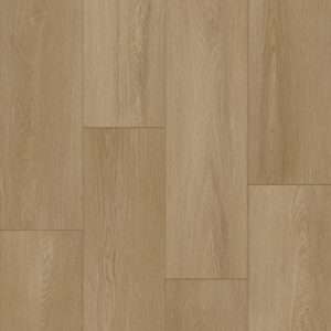 Bodiax BP300 Longa 336 Soil
