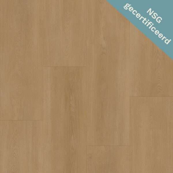 Bodiax BP590 Royal 594 Vendome